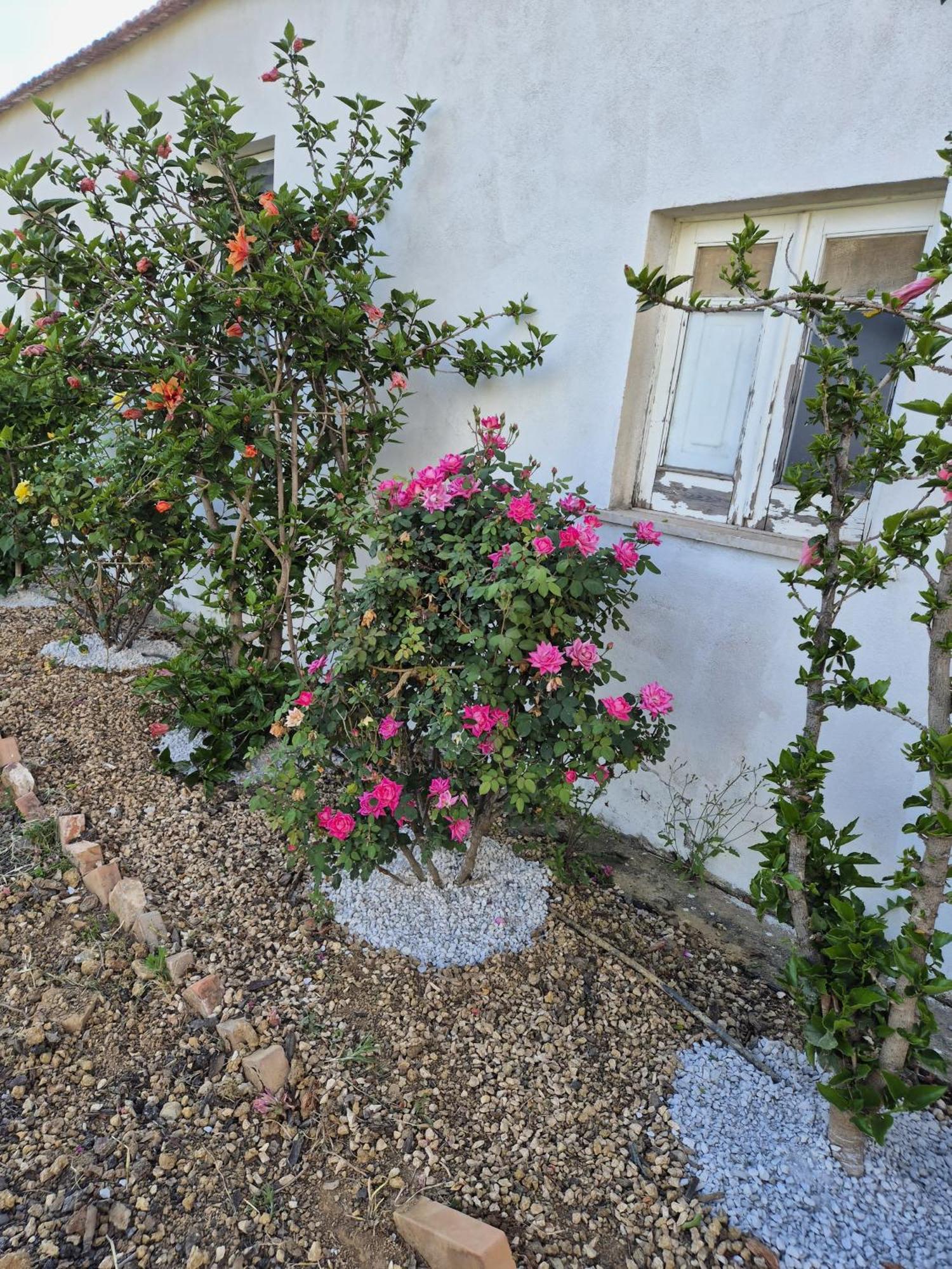Villa Elvira Country House Belvedere Marittimo Buitenkant foto