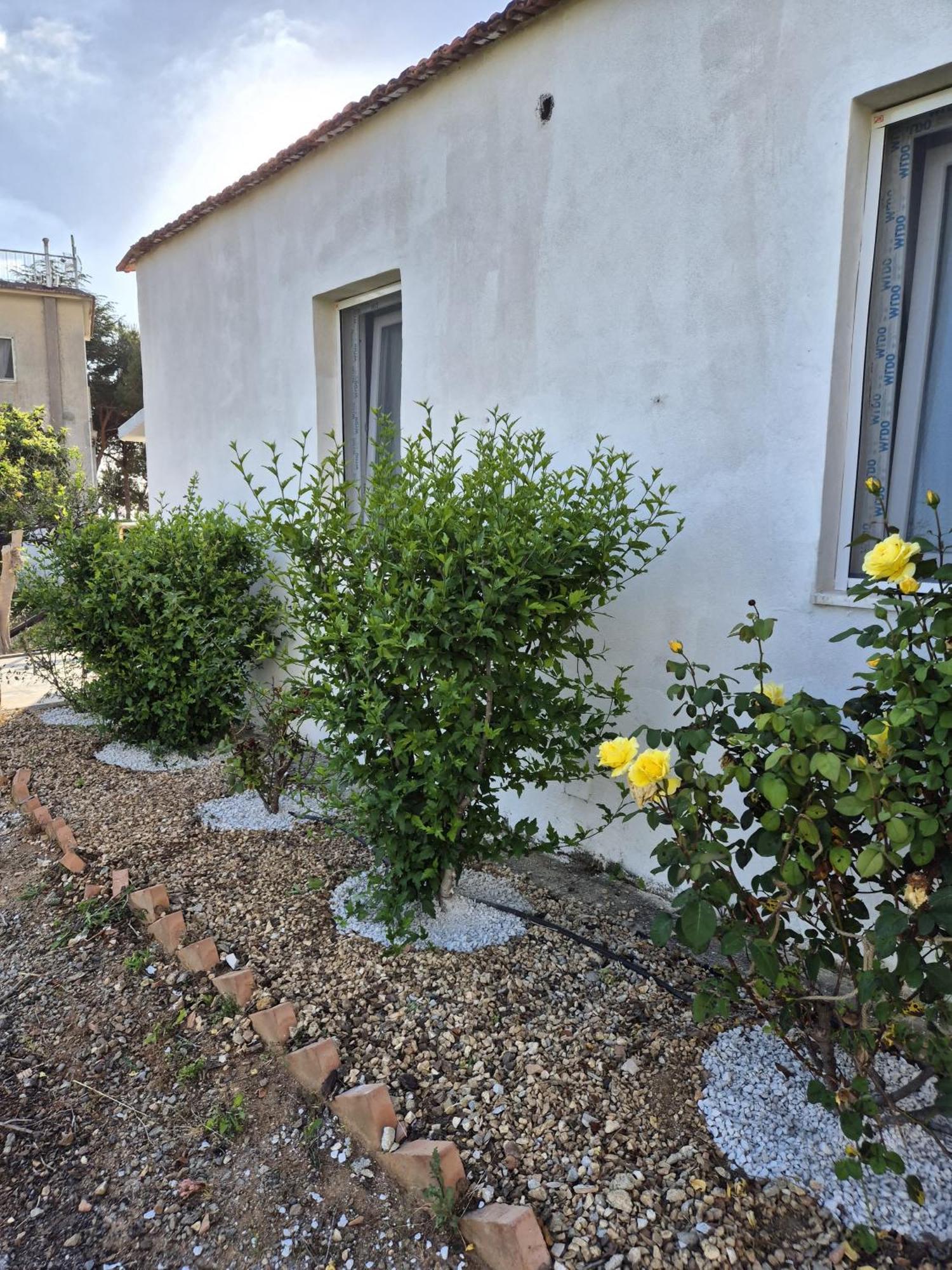 Villa Elvira Country House Belvedere Marittimo Buitenkant foto