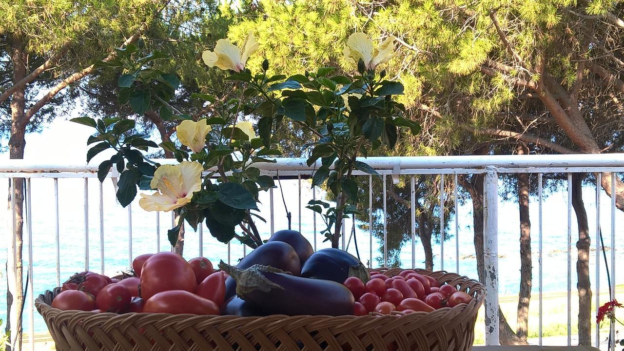 Villa Elvira Country House Belvedere Marittimo Buitenkant foto